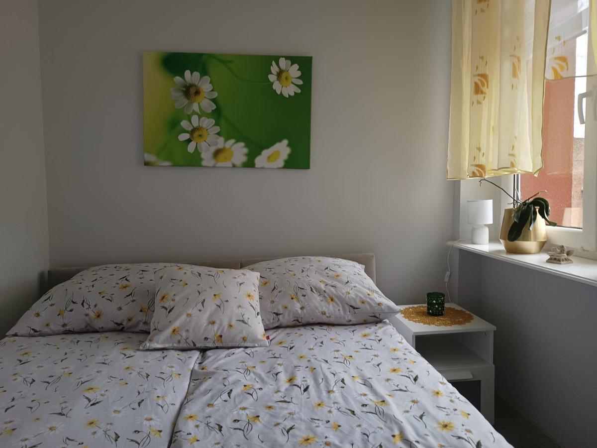 Szmaragdowy Apartament Przy Ulicy Opolskiej Tarnowskie Góry Extérieur photo